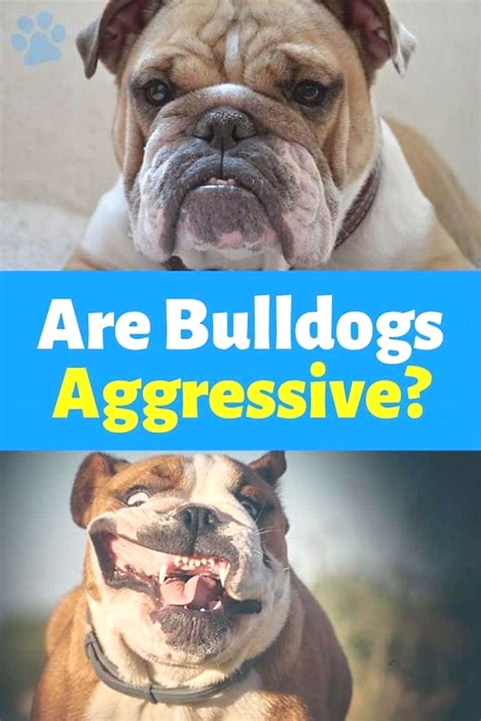 Are Bulldogs naturally aggressive?