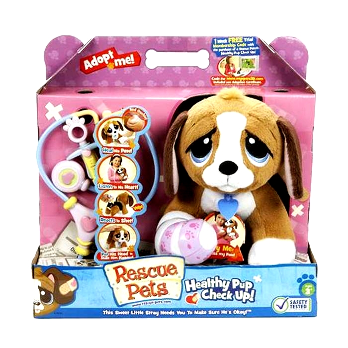 Beagle Weight Loss Incorporating Interactive Toys and Games