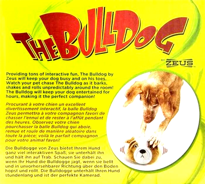 Bulldog Weight Loss Incorporating Interactive Toys into Their Routine