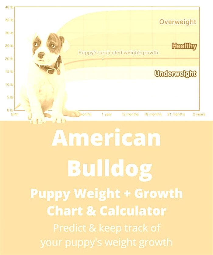 Bulldog Weight Loss: The Impact of Breed-Specific Nutrition on Weight