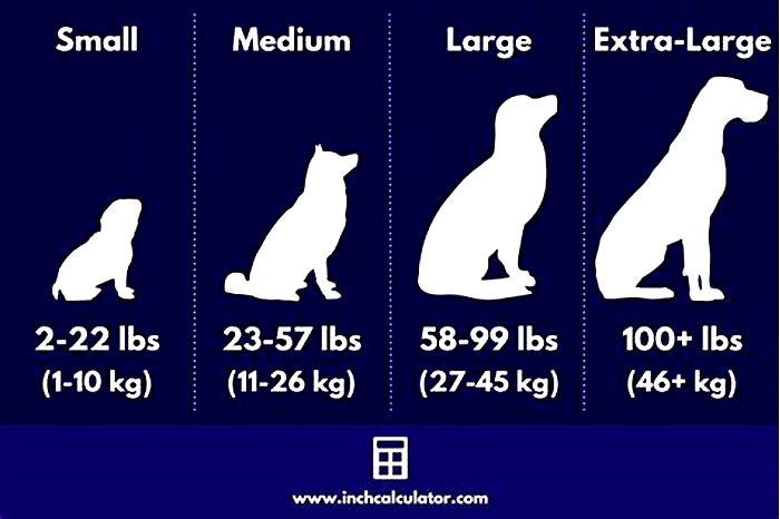 Can a dog be 100kg?