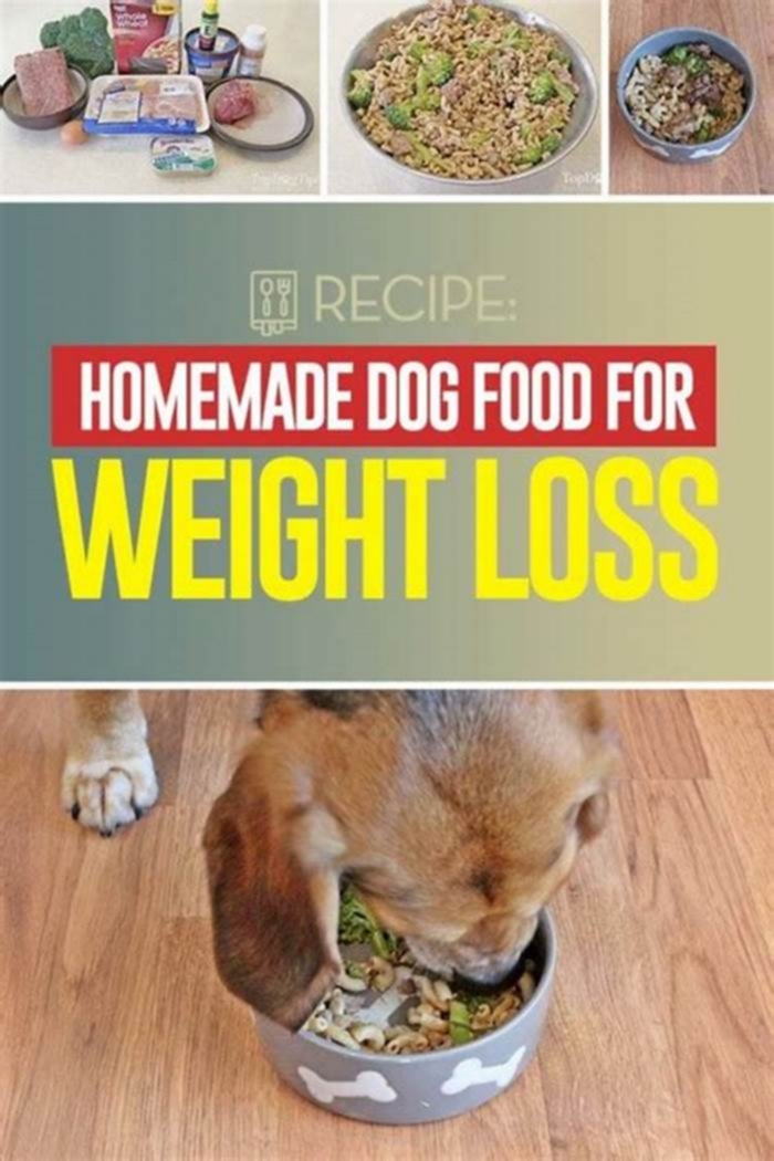 How can I reduce my dogs fat