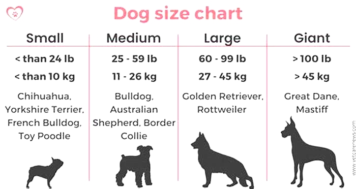 Is 20Kg a small dog?