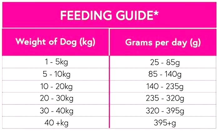 Managing Portion Control for Dachshunds