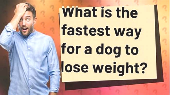 What is the fastest way for a dog to lose weight